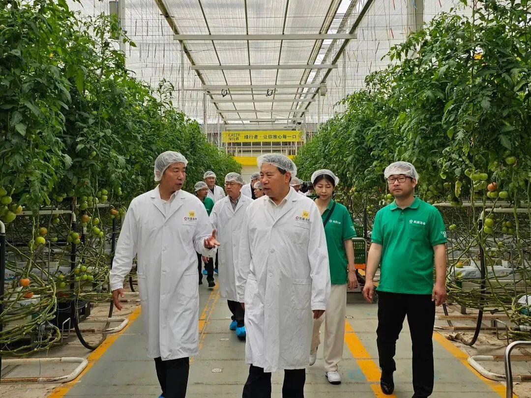 科技賦能農(nóng)業(yè)新篇 劉中會副主任委員赴凱盛浩豐考察調(diào)研農(nóng)業(yè)種植技術(shù)開發(fā)