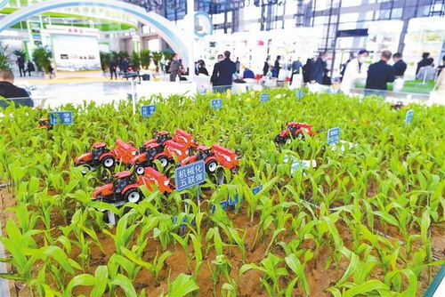 智慧農業 栽培種植技術的革新與未來開發路徑