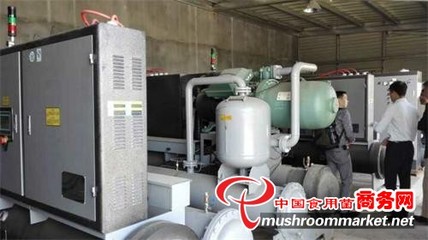 浙江 青風(fēng)環(huán)境設(shè)備助力食用菌工廠化生產(chǎn)，推動(dòng)產(chǎn)業(yè)現(xiàn)代化升級